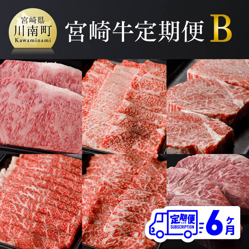 【６ヶ月定期便】宮崎牛定期便B　牛肉 黒毛和牛 国産牛肉 肉質等級4等級以上 九州産牛肉 定期便[D00683t6]