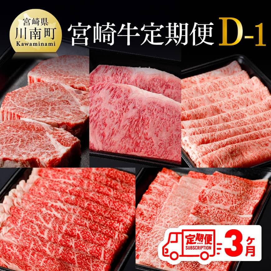 [定期便]宮崎牛3ヶ月定期便D-1 牛肉[D0675t31]