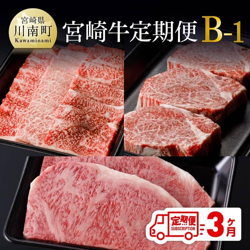 [定期便]宮崎牛3ヶ月定期便B-1 牛肉[D0674t31]