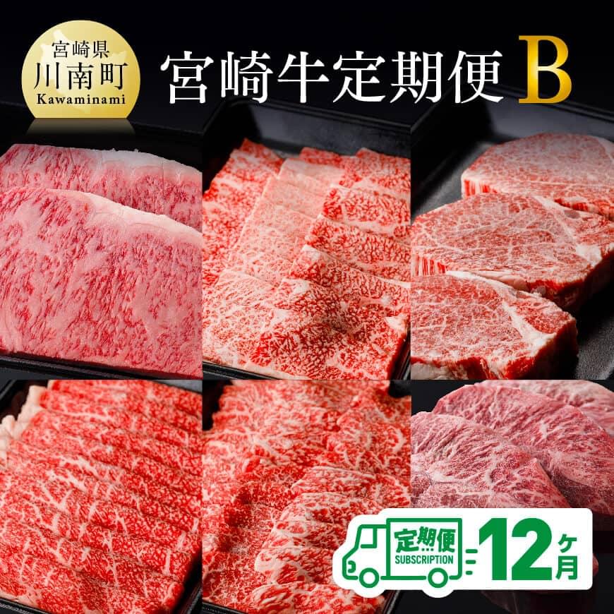 [定期便]宮崎牛12ヶ月定期便B 肉 牛肉 黒毛和牛[D0674t12]