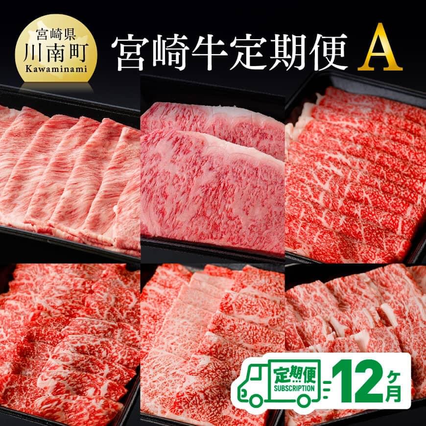 [定期便]宮崎牛12ヶ月定期便A 牛肉[D0673t12]