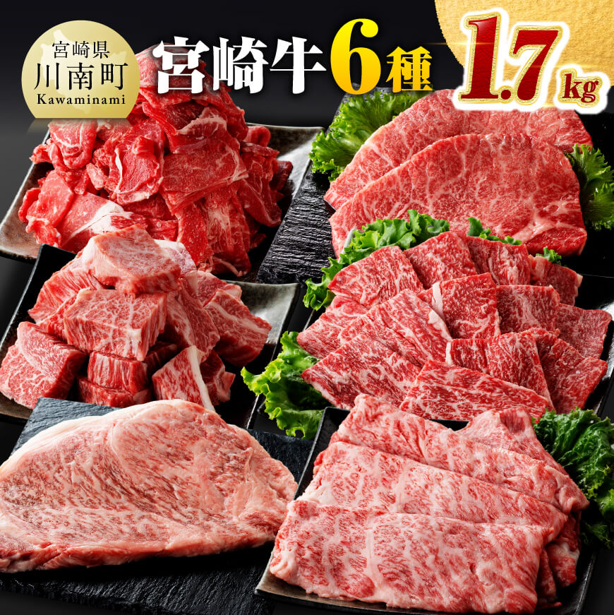 宮崎牛6種 詰め合わせ1.7kg 牛肉[D0613]