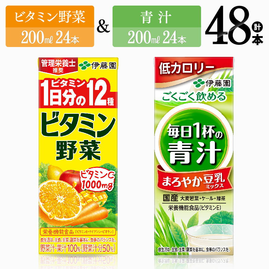 伊藤園 ビタミン野菜&青汁(紙パック)48本[ 伊藤園 飲料類 野菜 ミックス 青汁 ジュース セット 詰め合わせ 飲みもの ][D07311]