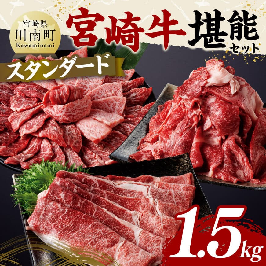 宮崎牛 堪能セット [スタンダード] 合計1.5kg 肉 牛肉 黒毛和牛[D11413]