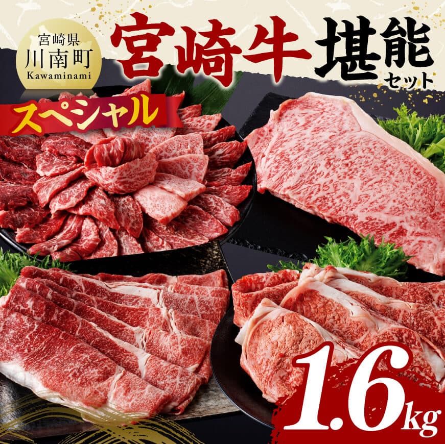 宮崎牛 堪能セット [スペシャル] 合計1.6kg 肉 牛肉 黒毛和牛[D11414]