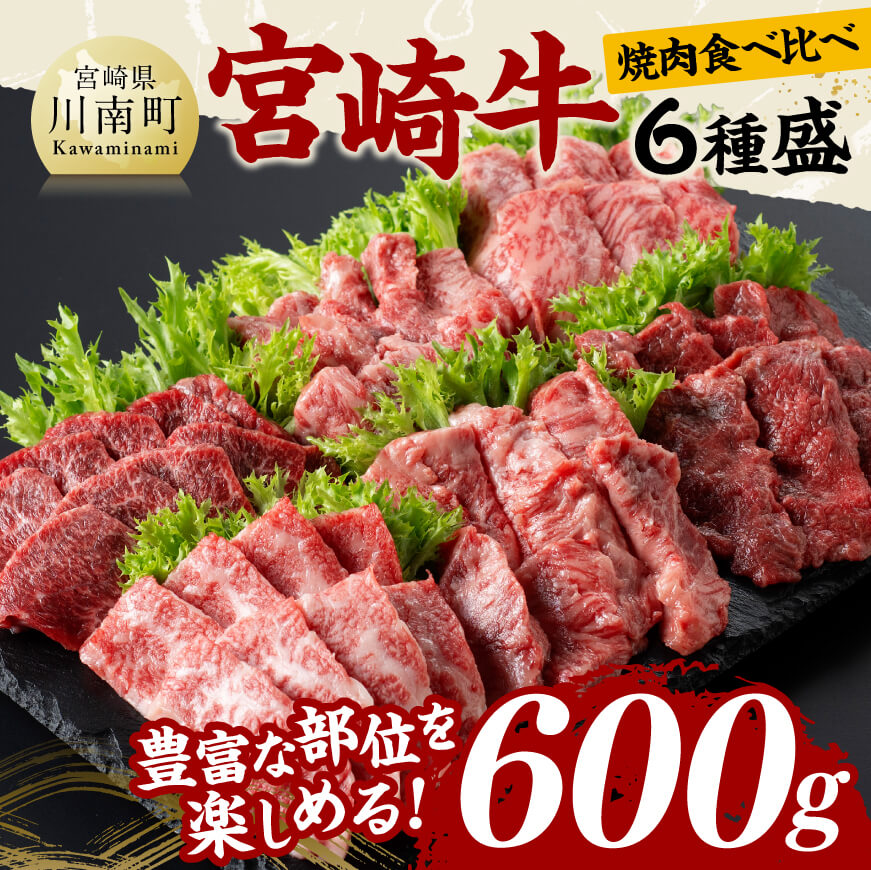 宮崎牛 焼肉 食べ比べ 6種盛 600g 肉 牛肉 黒毛和牛[D11417]