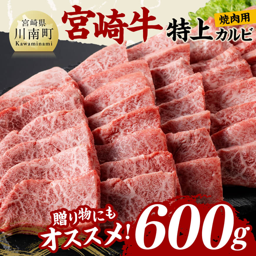 宮崎牛 特上カルビ 焼肉用 (三角バラ) 合計600g 肉 牛肉 黒毛和牛[D11420]