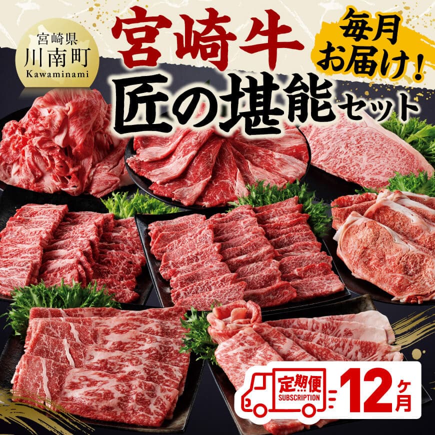 [定期便]宮崎牛 匠の堪能セット 12か月定期便 宮崎牛[C11413t12]