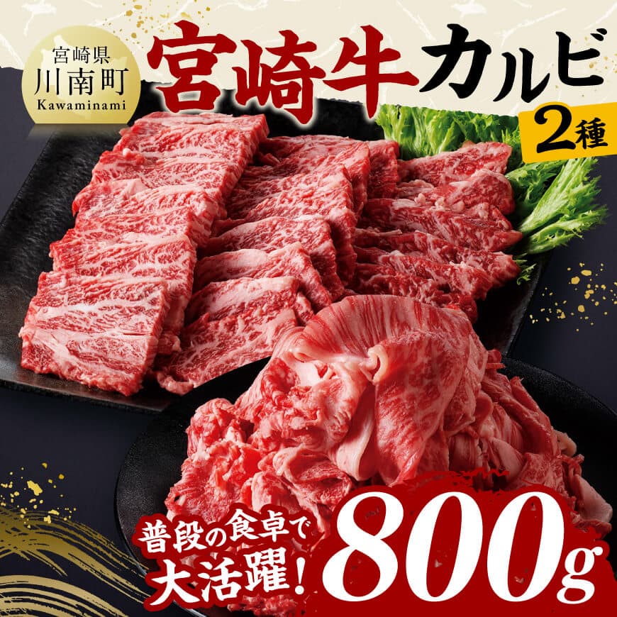 宮崎牛カルビ焼肉・切り落としセット合計800g[ 黒毛和牛 宮崎牛 焼肉 しゃぶしゃぶ すき焼き 焼きしゃぶ ][D11405]