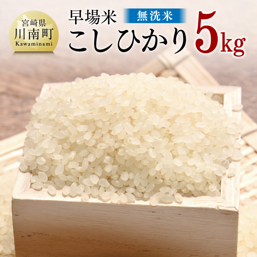 令和6年産「無洗米こしひかり」5kg 米 お米 新米[D05902]