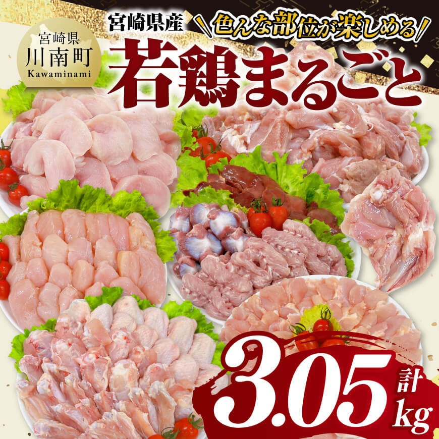 宮崎県産 若鶏 まるごと 3.05kg 肉 鶏肉 [D11614]