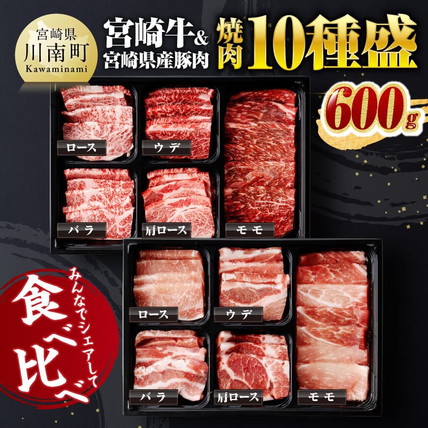 宮崎牛 & 宮崎県産 豚肉 焼肉 10種 牛肉 豚肉 焼肉[D00623]