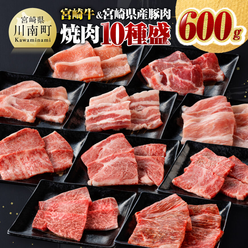 宮崎牛 & 宮崎県産 豚肉 焼肉 10種 牛肉 豚肉 焼肉[D00623]