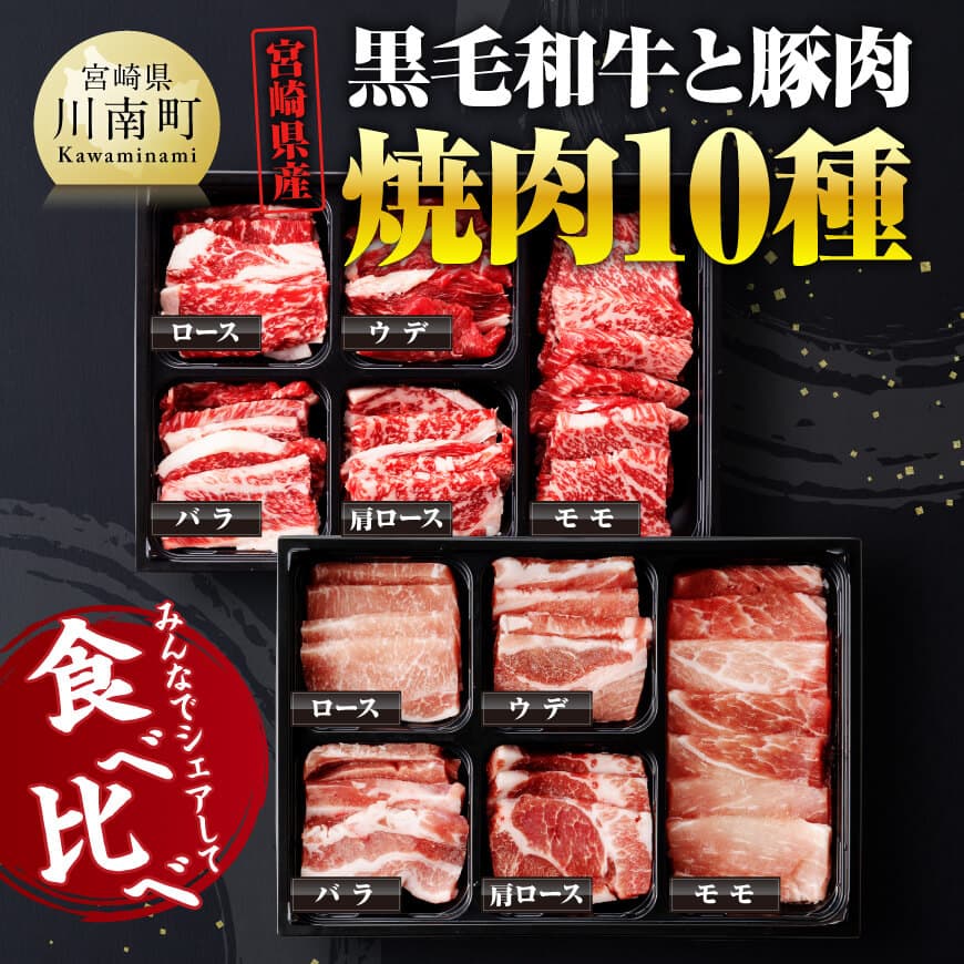 宮崎県産 黒毛和牛 と 豚肉 焼肉 10種 牛肉 豚肉 焼肉[D00624]