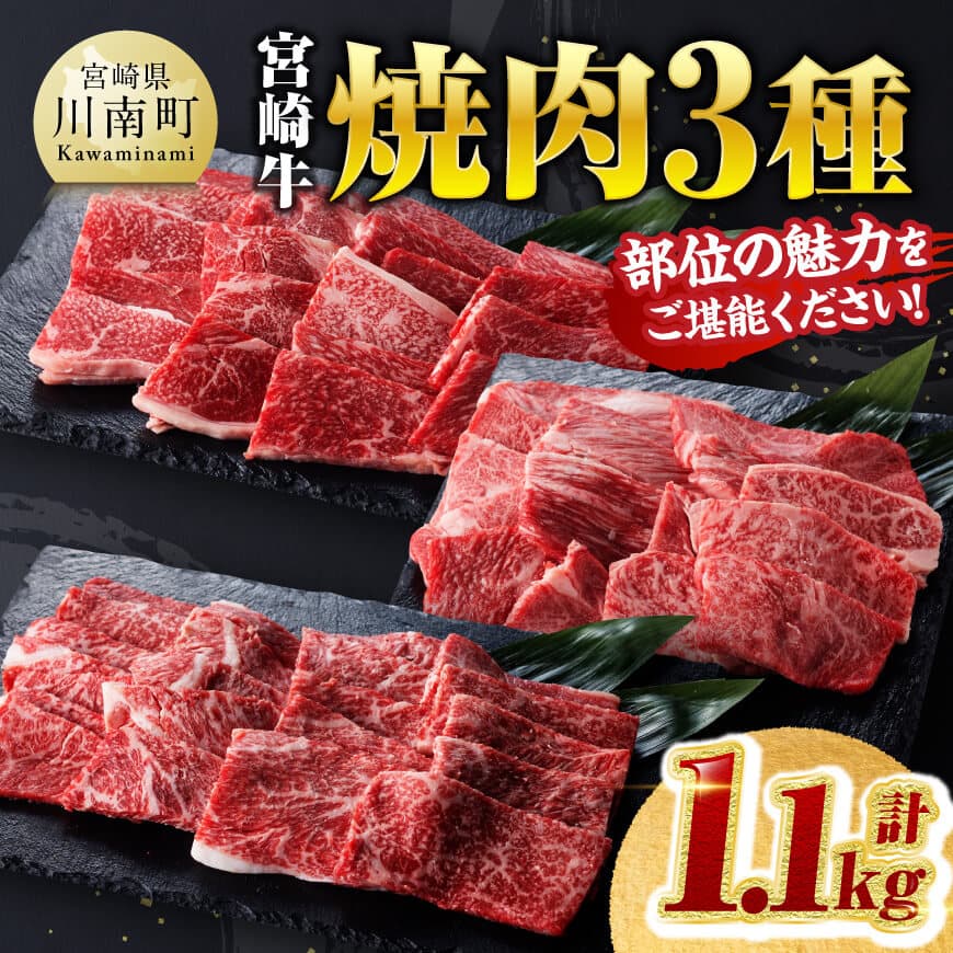 宮崎牛 焼肉 3種 計1.1kg 牛肉 焼肉[D00603]