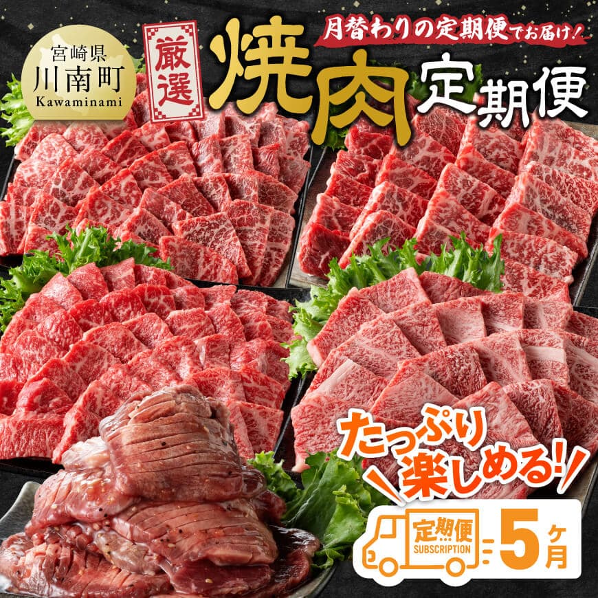 [5ヶ月定期便]厳選焼肉定期便 牛肉 宮崎牛 焼肉[D11106t5]