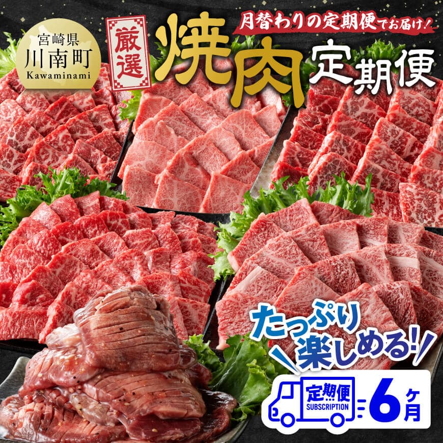 【6ヶ月定期便】厳選焼肉定期便　牛肉 宮崎牛 焼肉[D11117t6]