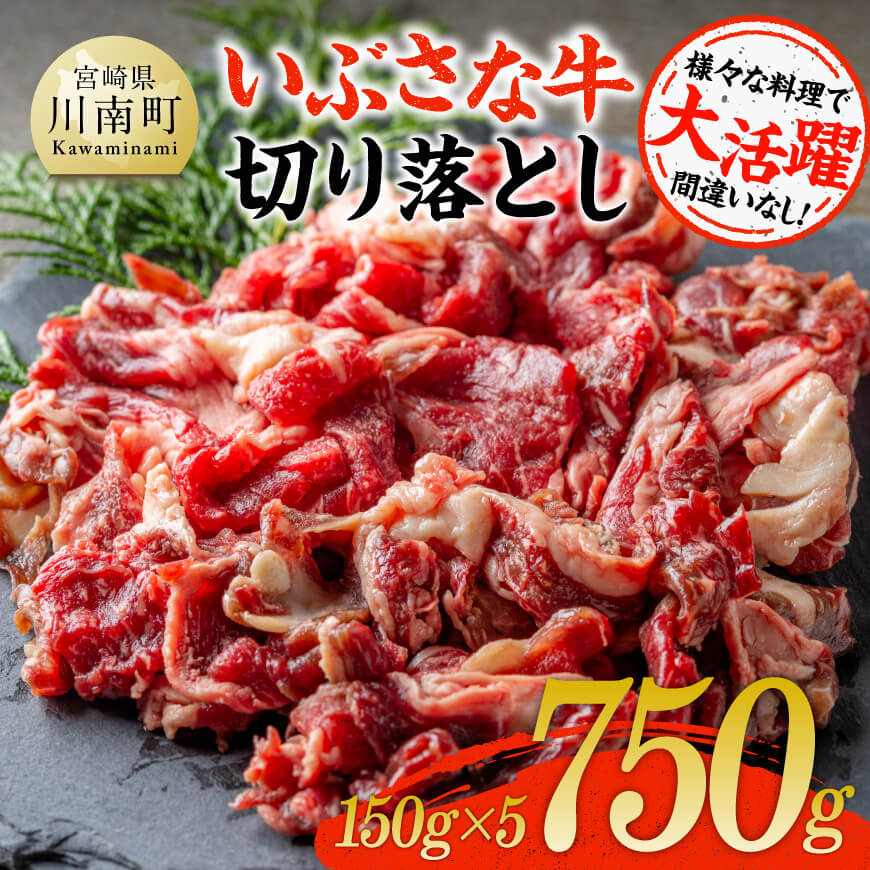 いぶさな牛切り落とし750g(150g×5パック) 牛 切り落とし 黒毛和牛[D05303]