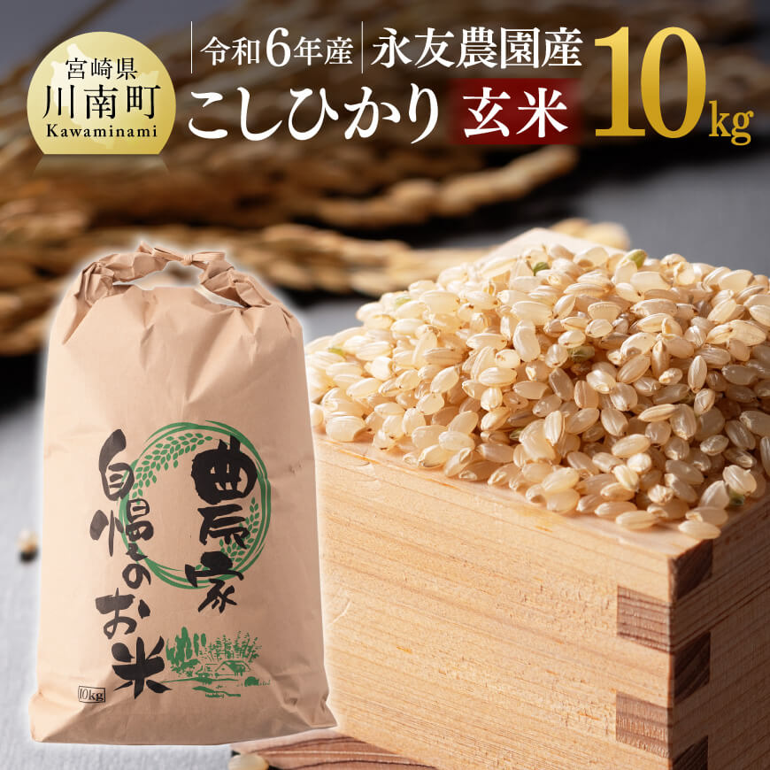 [令和6年産]永友農園産「こしひかり(玄米)」10kg(10kg×1袋) 米 お米 新米[D10606]