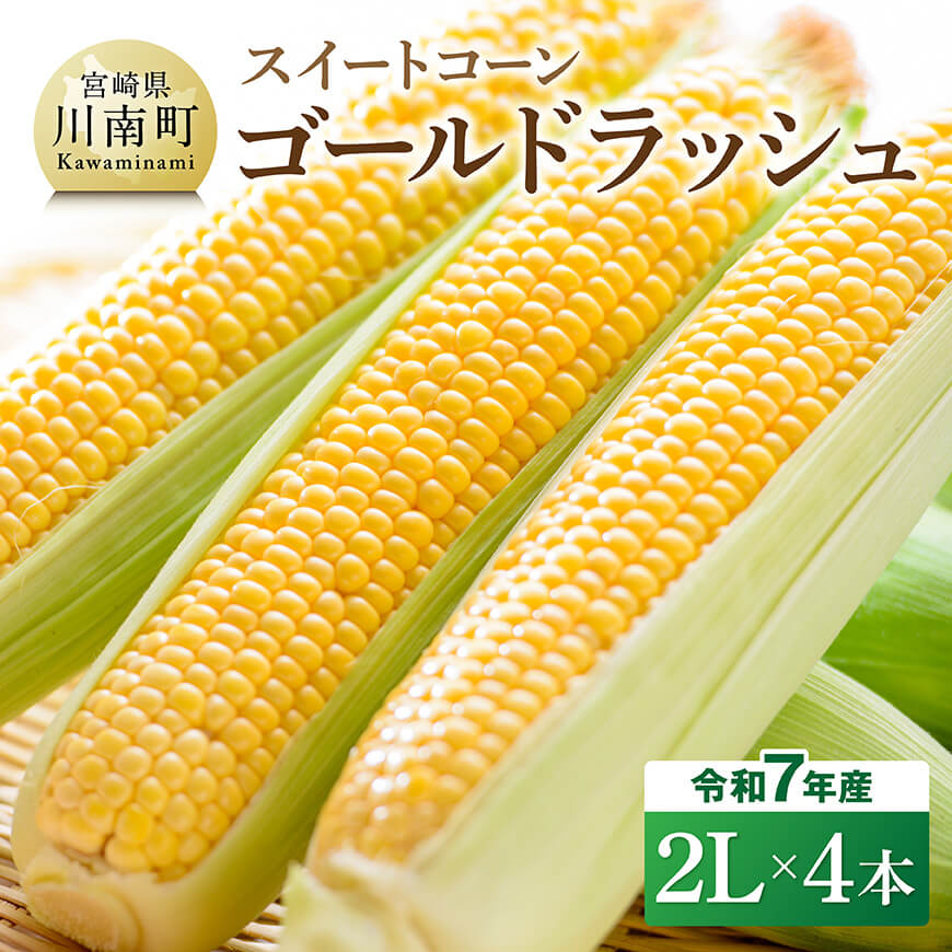 [令和7年発送]宮崎県産とうもろこし スイートコーン「ゴールドラッシュ」2L×4本 とうもろこし スイートコーン [D09106]