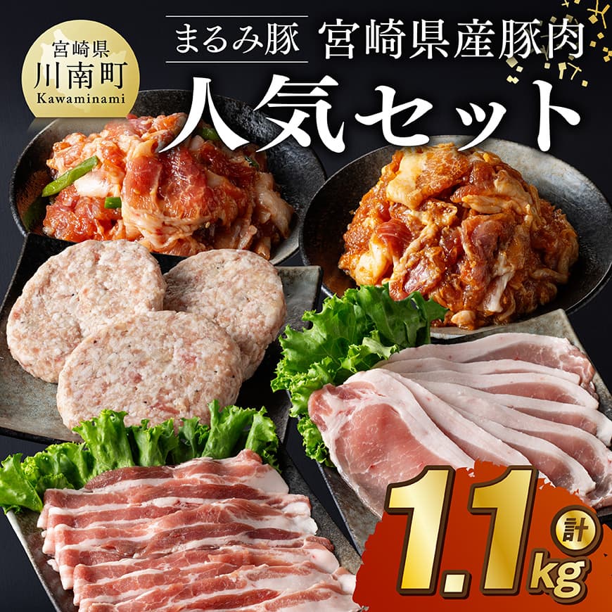 「まるみ豚」宮崎県産豚肉 人気セット 計1.1kg 豚肉 豚 肉 [D11512]