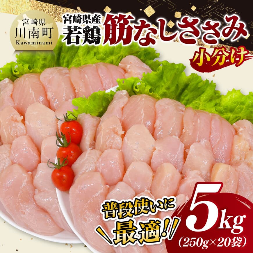 宮崎県産若鶏 筋なしささみ5kg(250g×20) 鶏肉 とり肉 ささみ [D11619]