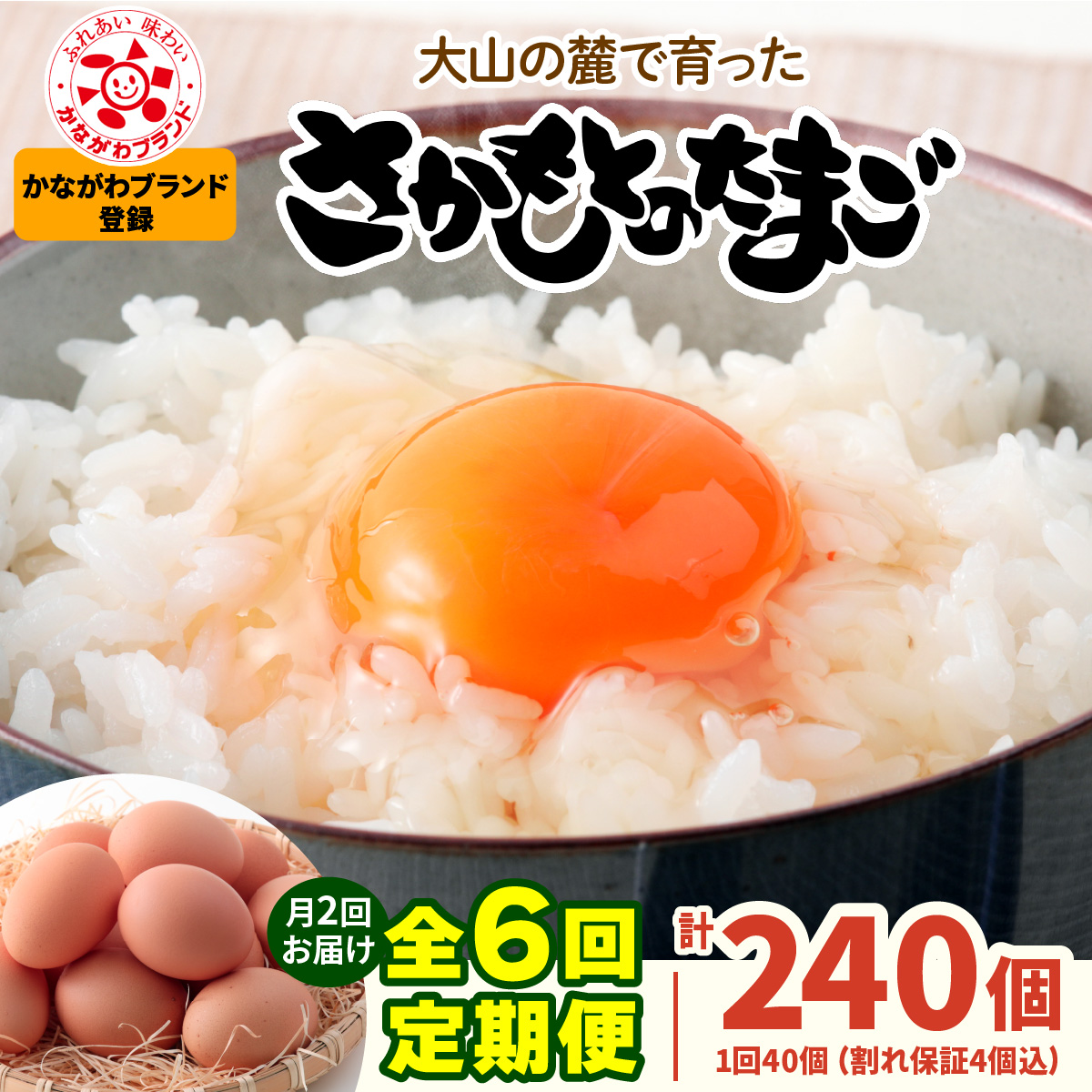 [定期便/3ヶ月] 月2回 全6回 さかもとのたまご 40個 (36個+割れ保証4個) 合計240個|坂本養鶏 大山の麓で育ったさかもとのたまご 赤玉卵 玉子 鶏卵 伊勢原市 赤玉卵 玉子 生卵 国産 TKG タマゴ 新鮮 大山 鶏 ギフト 安心 安全 親子丼 卵焼き 目玉焼き お菓子 [0392b]