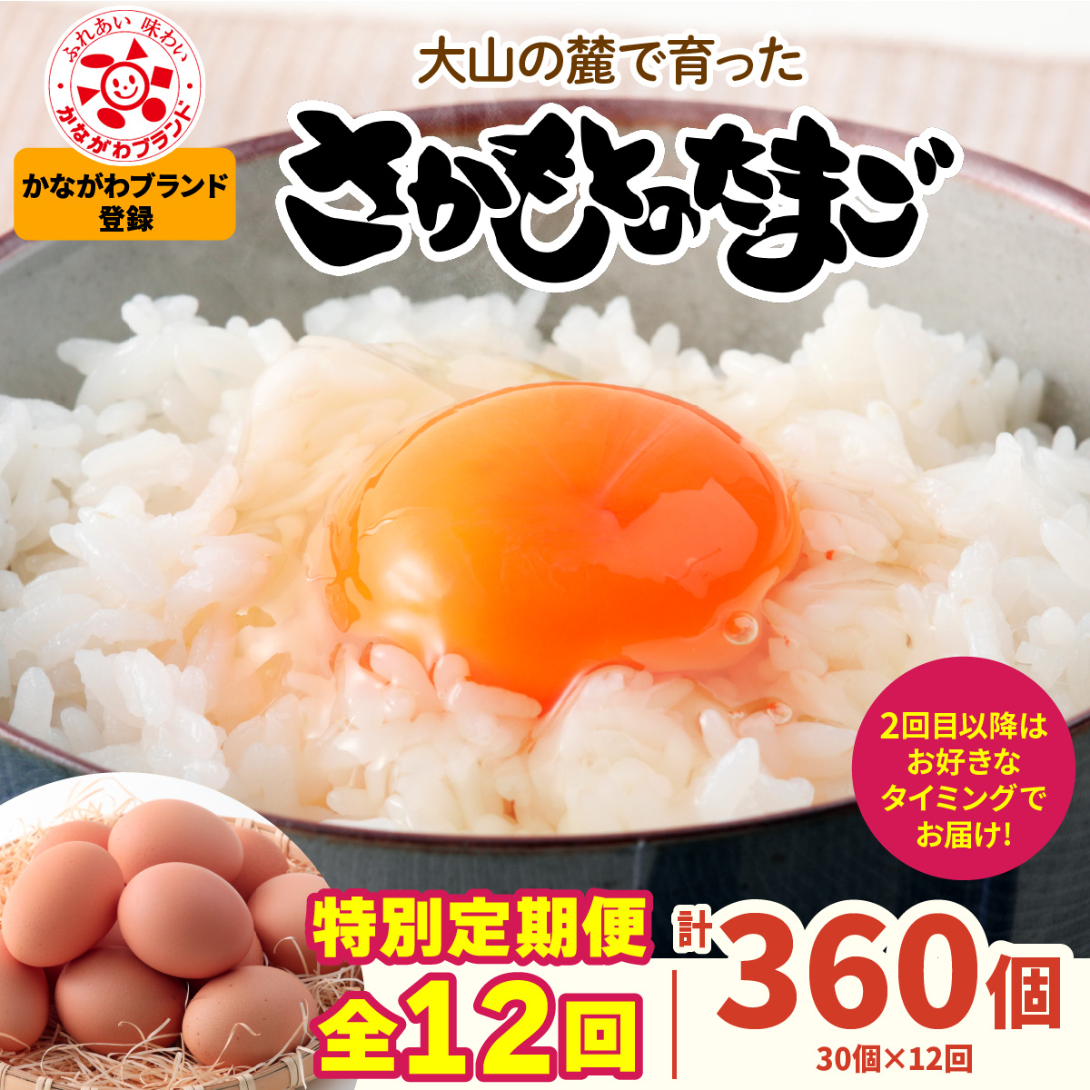 [特別定期便全12回] たまご 2回目以降はお好きなタイミングでお届け! 坂本養鶏 大山の麓で育ったさかもとのたまご 合計360個 (30個×12回)|伊勢原市 赤玉卵 玉子 鶏卵 生卵 国産 TKG タマゴ 新鮮 大山 鶏 ギフト 安心 安全 親子丼 卵焼き 目玉焼き お菓子 [0398b]