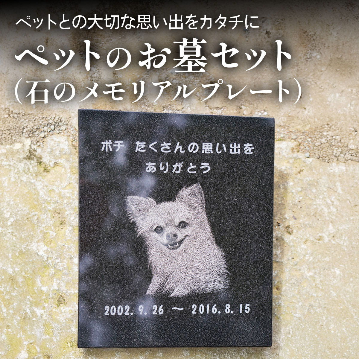 《成瀬石材店》ペットのお墓セット (石のメモリアルプレート) [0434]