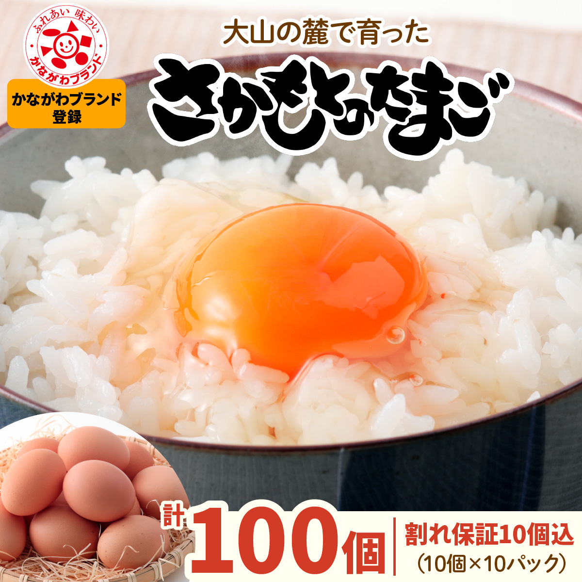 坂本養鶏 大山の麓で育った さかもとのたまご 100個 (90個＋割れ保証10個)｜伊勢原市 赤玉卵 玉子 鶏卵 生卵 国産 TKG タマゴ 新鮮 大山 鶏 ギフト 安心 安全 親子丼 卵焼き 目玉焼き お菓子 [0705]
