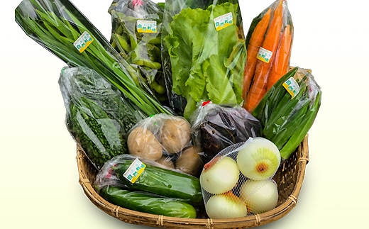 直売所直送　旬のおまかせ野菜セット　詰め合わせ10種