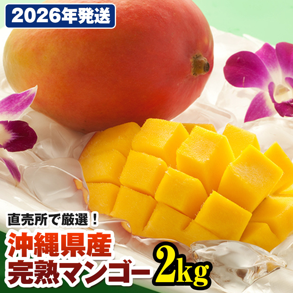 【2026年発送】直売所で厳選　沖縄県産「完熟マンゴー」2kg