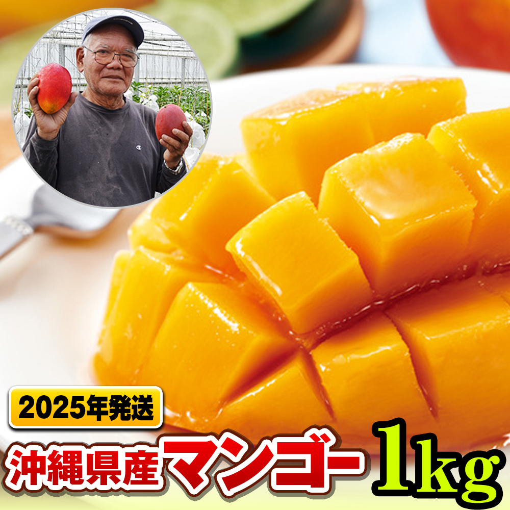 予約開始 / 2025年発送分】マンゴー大特集！ 美しい切り方から