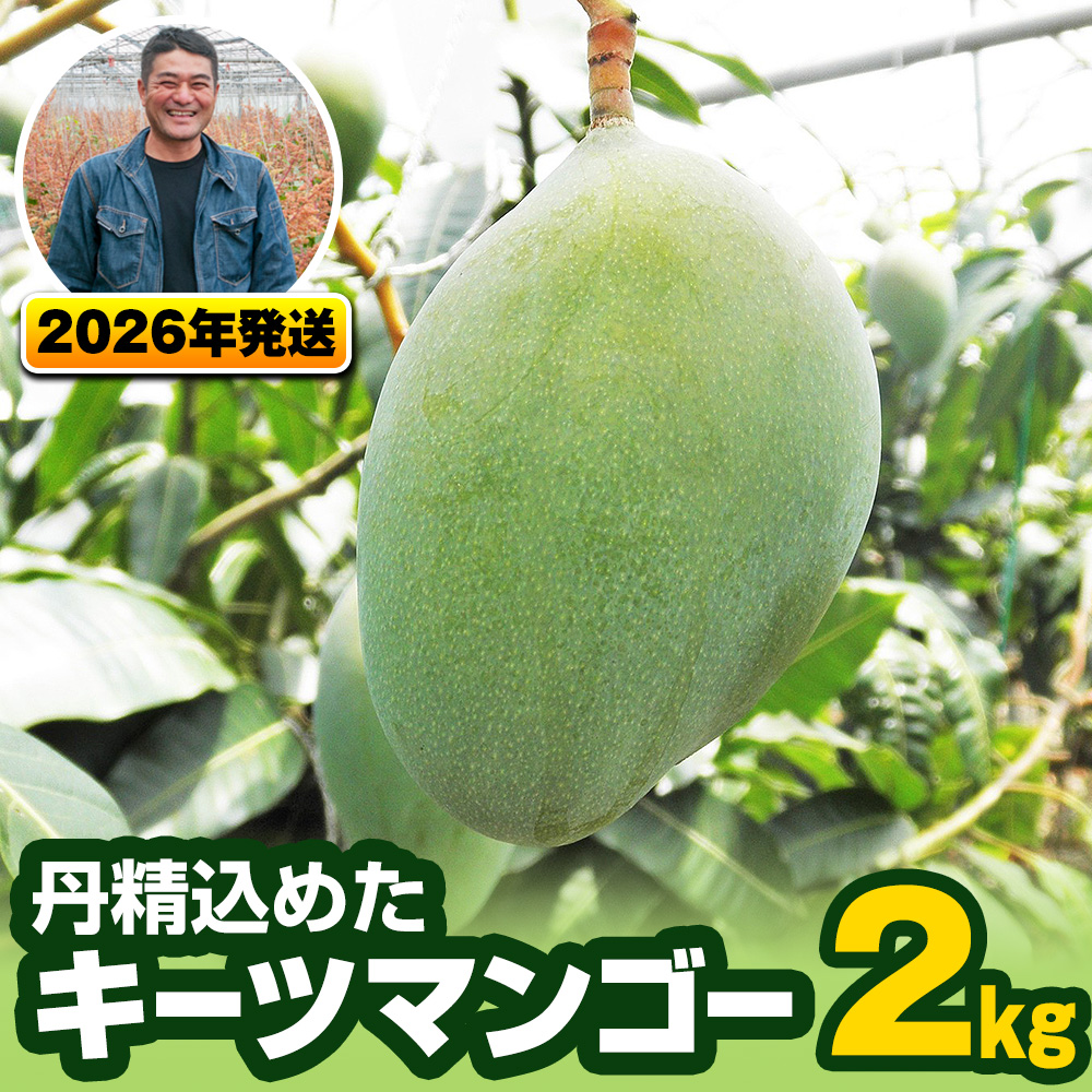 【2026年発送】南風原農園 丹精込めた「キーツマンゴー」2kg