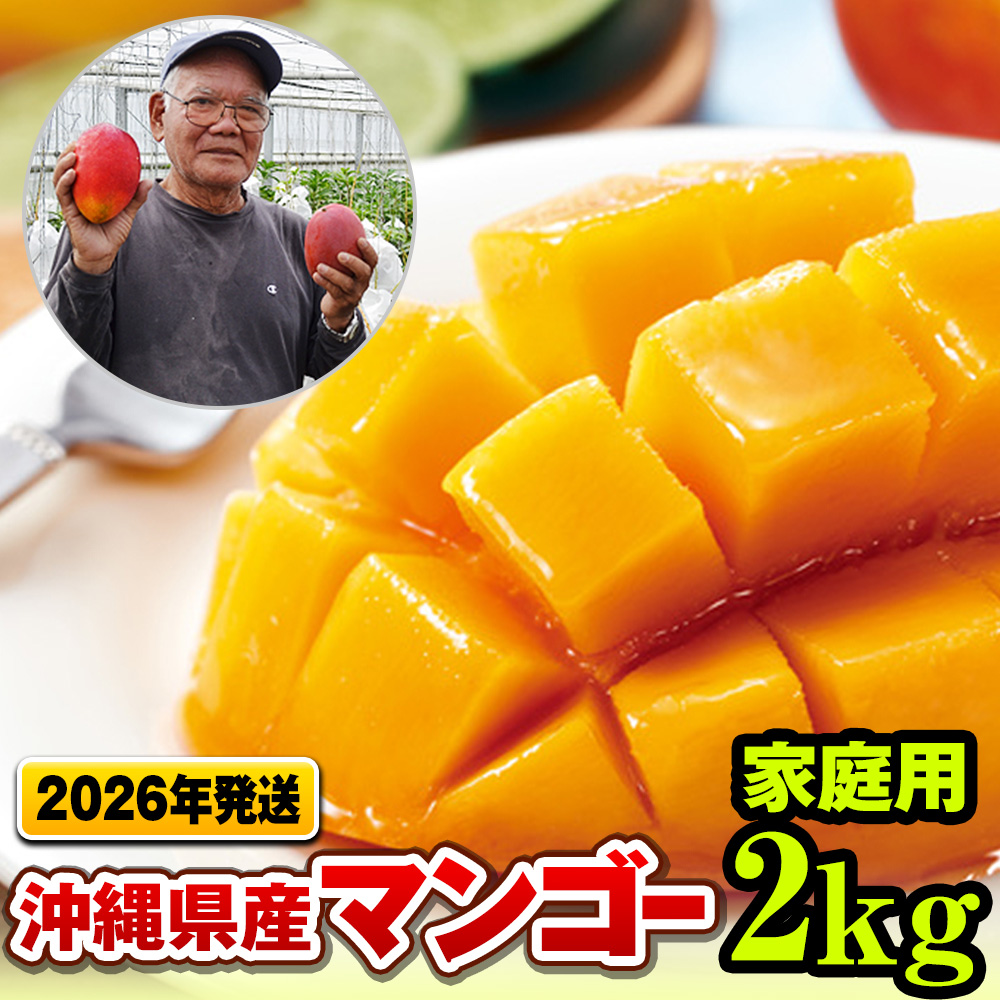 【2026年発送】濃厚な甘さの沖縄県産マンゴー2kg（家庭用）