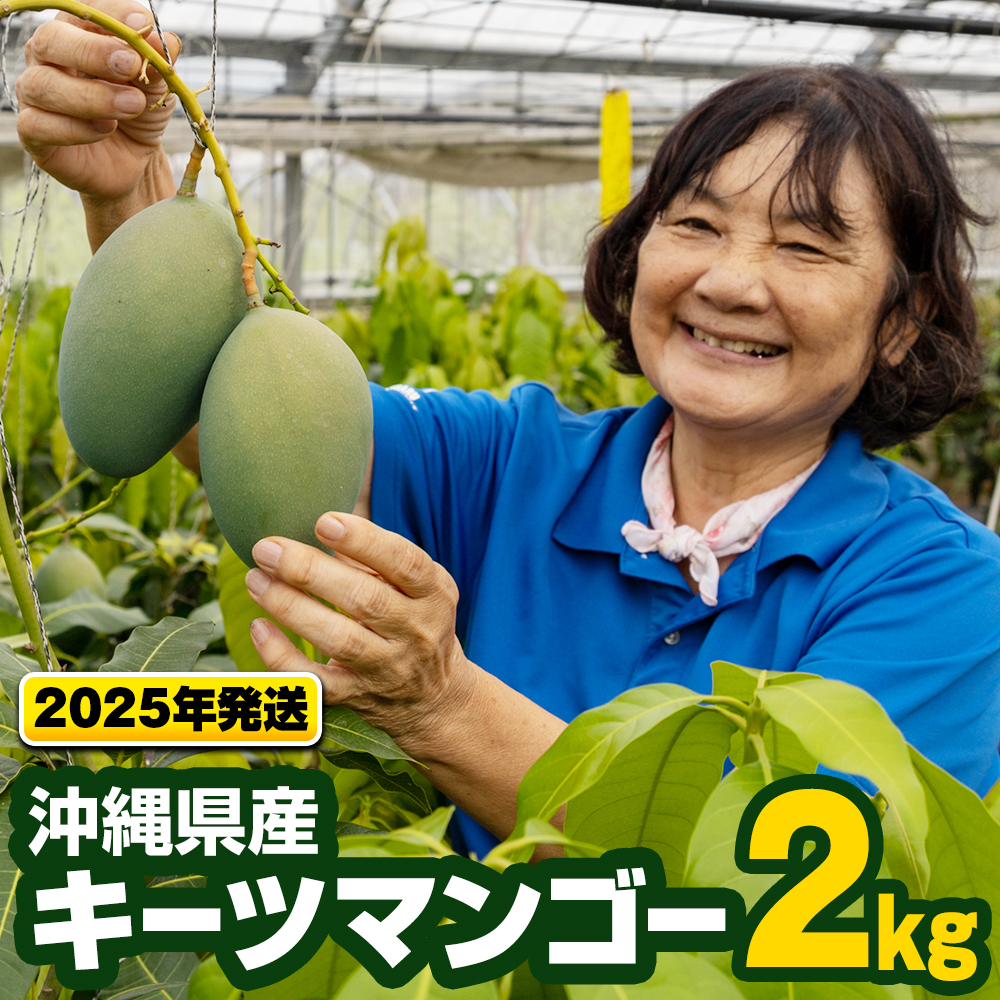 【2025年発送】沖縄県産キーツマンゴー2kg
