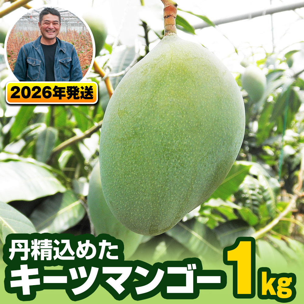 【2026年発送】南風原農園 丹精込めた「キーツマンゴー」1kg
