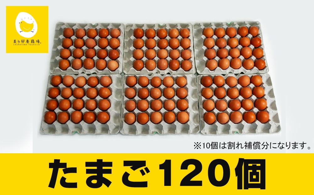 美ら卵養鶏場の新鮮で濃厚な卵【120個入り】
