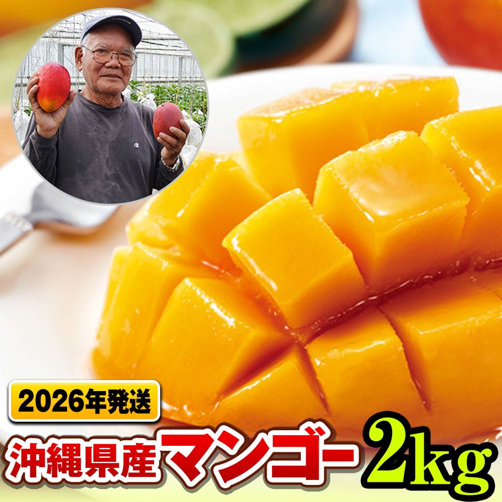【2026年発送】濃厚な甘さ！とろける食感！沖縄県産マンゴー2kg