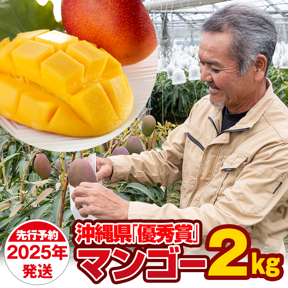 【2025年発送】芳醇な香り　とろける食感　沖縄県「優秀賞」マンゴー2kg
