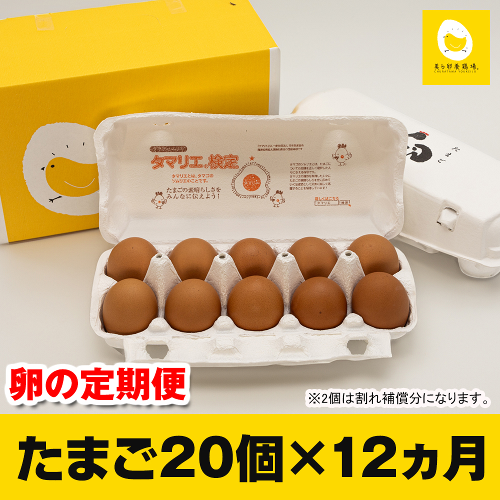 【定期便】12ヵ月連続お届け 美ら卵養鶏場の卵 各月20個