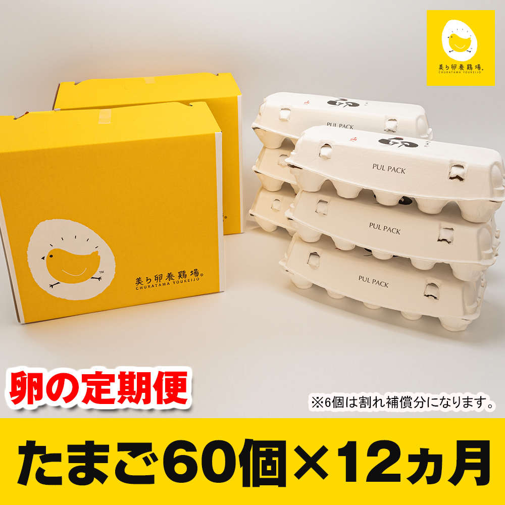 【定期便】12ヵ月連続お届け 美ら卵養鶏場の卵 各月60個