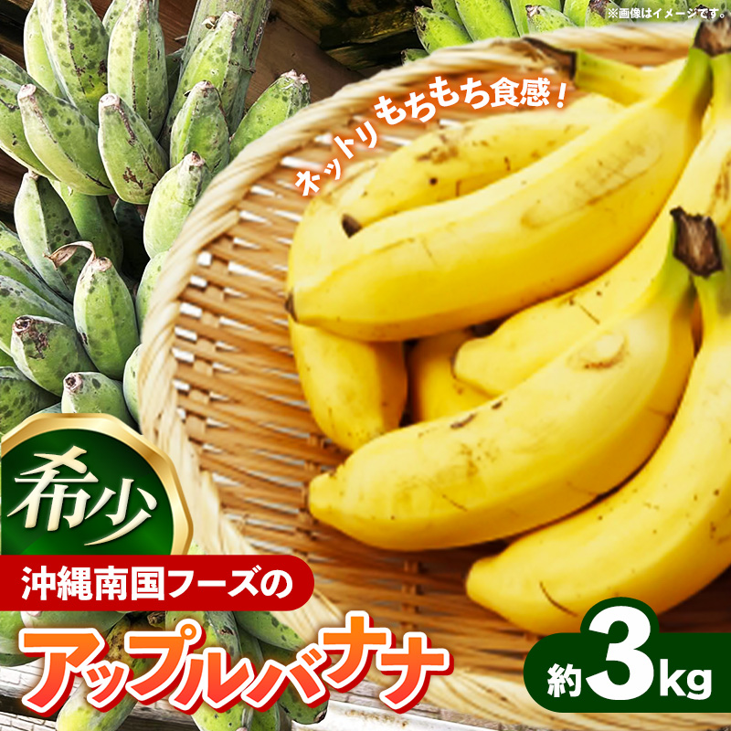 国産 希少種！南国フーズのアップルバナナ 約3kg - バナナ ばなな 小ぶり 沖縄県 産地直送 果物 フルーツ 南国 朝食 おすすめ 沖縄県 八重瀬町