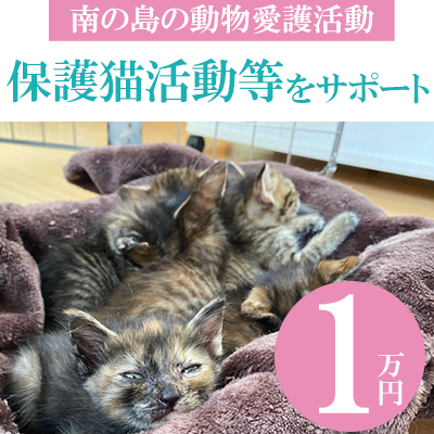 【南の島の動物愛護活動】保護猫活動等をサポート（1万円）- ねこ ネコ 地域猫 保護活動 支援 応援 さくらねこ 動物愛護 保護 里親 寄附のみ 沖縄県 八重瀬町