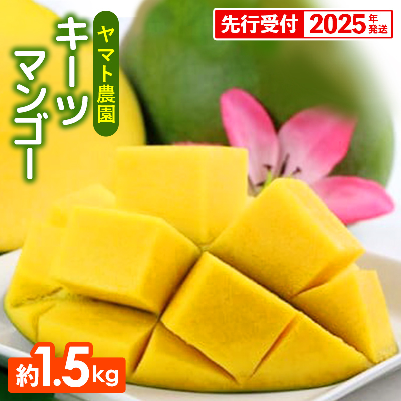【先行受付】【2025年発送】ヤマト農園 キーツマンゴー約1.5kg - 産地直送 沖縄産 国産 果物 フルーツ 南国フルーツ 旬の味覚 追熟 先行予約 希少種 人気 おすすめ 送料無料 沖縄県 八重瀬町