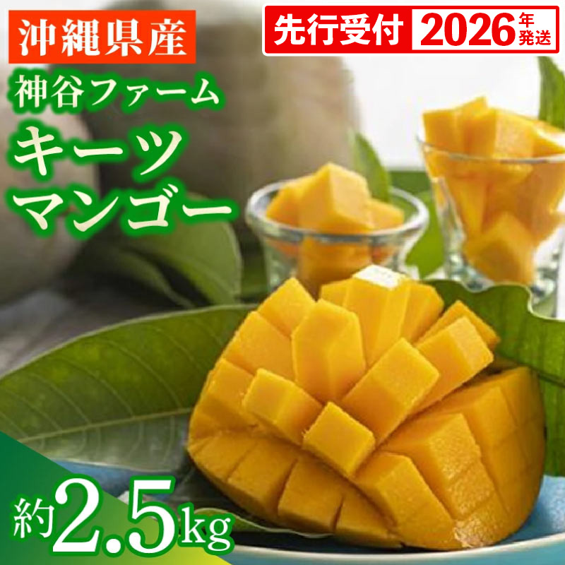 【先行受付】【2026年発送】神谷ファームのキーツマンゴー 約2.5kg - 先行予約 沖縄県産 産地直送 南国フルーツ 旬の味覚 季節の果物 希少種 贈り物 ギフト 沖縄県 八重瀬町
