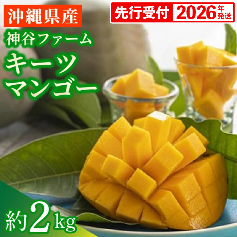 【先行受付】【2026年発送】神谷ファームのキーツマンゴー 約2kg - 先行予約 沖縄県産 産地直送 南国フルーツ 旬の味覚 季節の果物 希少種 贈り物 ギフト 沖縄県 八重瀬町