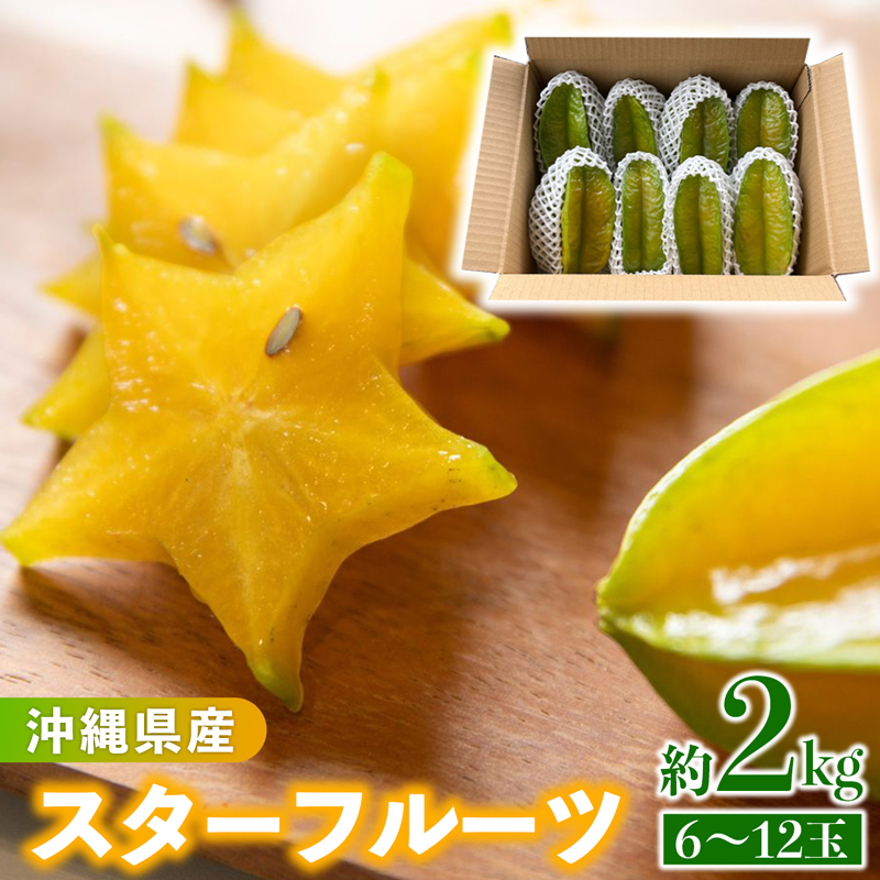 沖縄県産 スターフルーツ約2kg(6~12玉) - 果物 フルーツ 南国 スターフルーツ 五歛子 厳選 沖縄県 八重瀬町