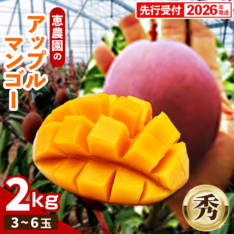 【先行受付】【2026年発送】恵農園のアップルマンゴー『秀』約2kg(3~6玉)- 先行予約 沖縄県産 産地直送 南国フルーツ 旬の味覚 季節の果物 贈り物 ギフト 沖縄県 八重瀬町