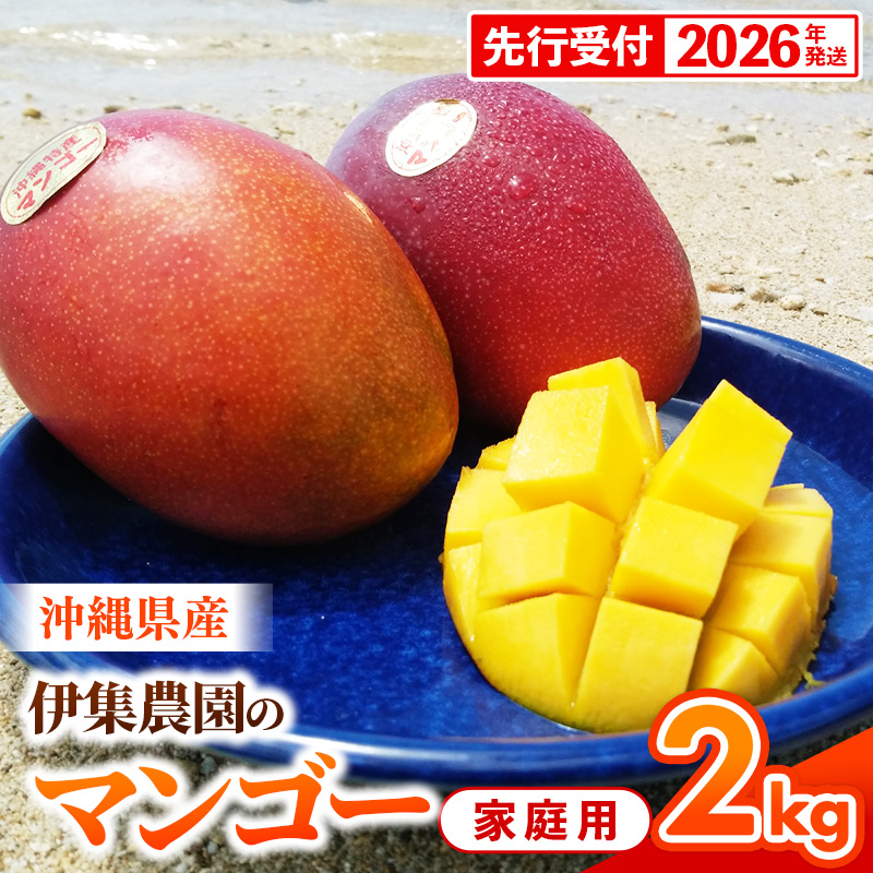 【先行受付】【2026年発送】伊集農園 沖縄県産マンゴー ご家庭用 約2kg - 先行予約 沖縄 産地直送 南国フルーツ 旬の味覚 家庭用 2キロ オススメ 沖縄県 八重瀬町